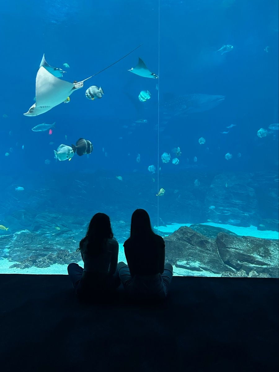 PEINTURE SUR TOILE AU CŒUR DE L'AQUARIUM